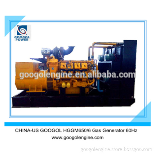 Googol Small 60Hz V8 CHP Gas Generator